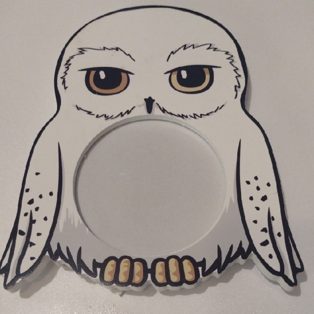 Harry Potter Hedwig Frame Brand New